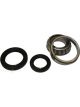 BWS Wheel Bearing Kit