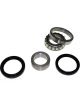 BWS Wheel Bearing Kit