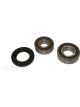 BWS Wheel Bearing Kit