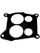 Fuelmiser Flange Gasket
