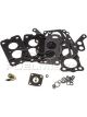 Fuelmiser Carburettor Kit