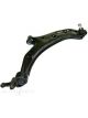 IBS Control Arm