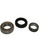 IBS Wheel Bearing Kit