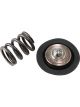 Aeroflow Replacement Diaphragm and Spring Assembly For AF66-2058