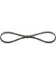 Bosch Ribbed V-Belt