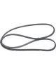 Bosch Ribbed V-Belt