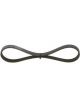 Bosch Ribbed V-Belt