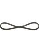 Bosch Ribbed V-Belt