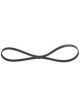 Bosch Ribbed V-Belt