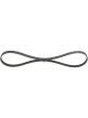 Bosch Ribbed V-Belt