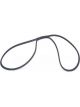 Bosch Ribbed V-Belt