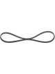 Bosch Ribbed V-Belt