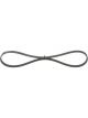 Bosch Ribbed V-Belt