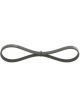 Bosch Ribbed V-Belt