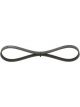 Bosch Ribbed V-Belt
