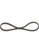 Bosch Ribbed V-Belt