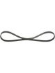 Bosch Ribbed V-Belt
