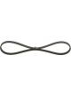 Bosch Ribbed V-Belt