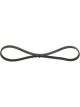 Bosch Ribbed V-Belt
