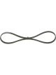 Bosch Ribbed V-Belt