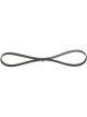 Bosch Ribbed V-Belt