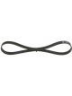 Bosch Ribbed V-Belt