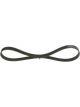 Bosch Ribbed V-Belt