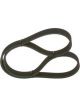 Bosch Ribbed V-Belt