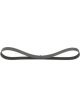 Bosch Ribbed V-Belt