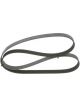 Bosch Ribbed V-Belt