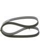 Bosch Ribbed V-Belt
