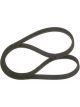 Bosch Ribbed V-Belt