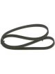 Bosch Ribbed V-Belt