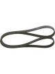 Bosch Ribbed V-Belt