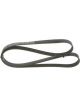 Bosch Ribbed V-Belt