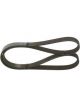 Bosch Ribbed V-Belt