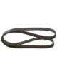 Bosch Ribbed V-Belt