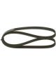 Bosch Ribbed V-Belt