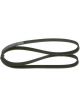 Bosch Ribbed V-Belt