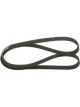 Bosch Ribbed V-Belt