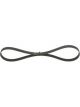 Bosch Ribbed V-Belt