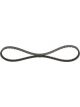 Bosch Cogged Belt
