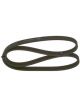 Bosch Ribbed V-Belt