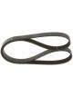 Bosch Ribbed V-Belt