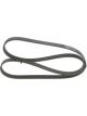 Bosch Ribbed V-Belt