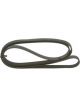 Bosch Ribbed V-Belt