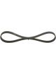 Bosch Ribbed V-Belt