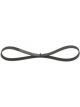 Bosch Ribbed V-Belt
