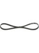Bosch Ribbed V-Belt