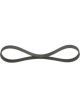 Bosch Ribbed V-Belt